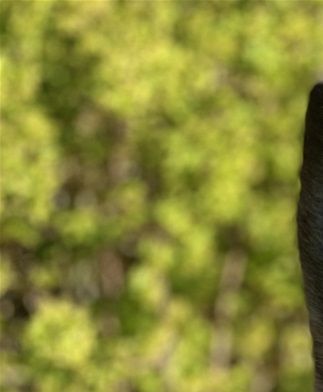 Bali i den sidste aften sol - d. 26/4-22